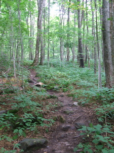 Appalachian Trail 