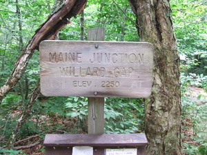 Appalachian Trail Maine Junction, Willard Gap, Elevation 2250 feet.