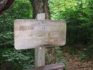 Appalachian Trail Maine Junction, Willard Gap, Elevation 2250 feet.