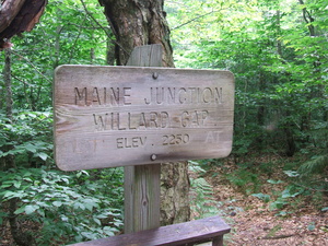 Appalachian Trail Maine Junction, Willard Gap, Elevation 2250 feet.