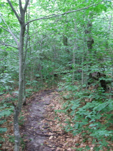 Appalachian Trail 