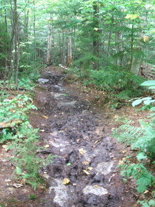 Appalachian Trail Quite muddy