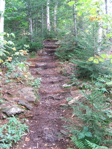 Appalachian Trail 