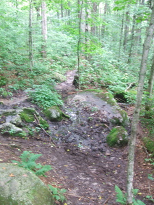 Appalachian Trail Very muddy