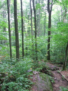 Appalachian Trail 