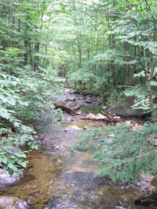 Appalachian Trail 