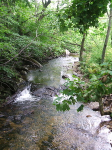 Appalachian Trail 