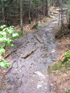 Appalachian Trail Very Muddy Trail