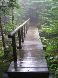 Appalachian Trail 