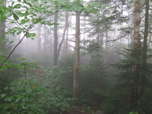 Appalachian Trail 