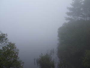 Appalachian Trail Fog