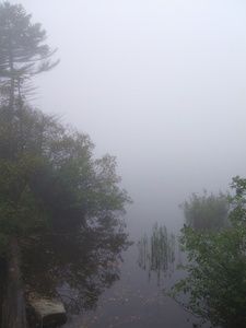 Appalachian Trail Fog