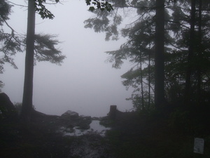 Appalachian Trail Fog