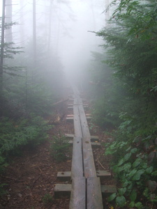 Appalachian Trail Fog