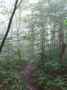 Appalachian Trail 