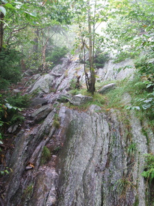 Appalachian Trail 