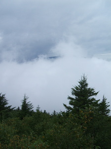 Appalachian Trail 