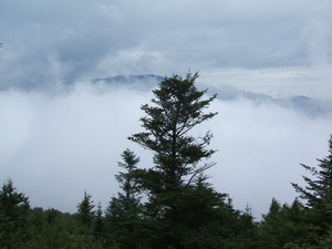 Appalachian Trail 