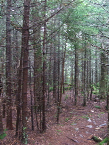 Appalachian Trail 