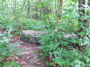 Appalachian Trail 