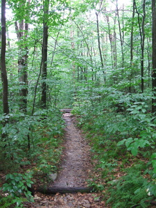 Appalachian Trail 