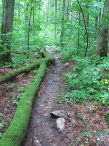 Appalachian Trail 