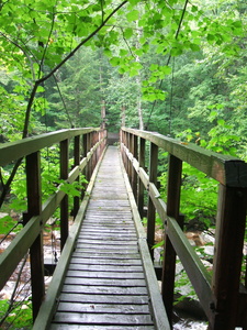 Appalachian Trail 