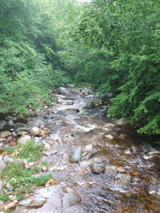 Appalachian Trail 