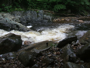 Appalachian Trail 