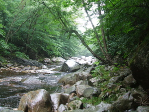 Appalachian Trail 