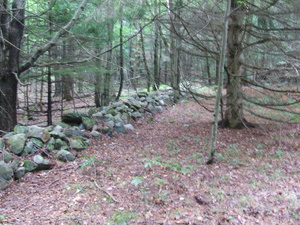 Appalachian Trail Stone Wall