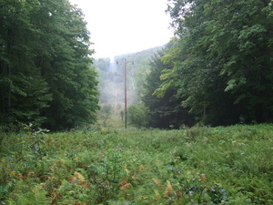 Appalachian Trail Power Line