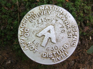Appalachian Trail Survey Marker