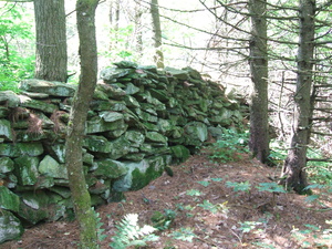 Appalachian Trail Stone Wall