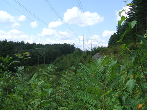 Appalachian Trail Power line (43.520615, -72.919910)