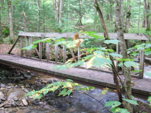 Appalachian Trail Sargent Brook