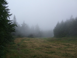 Appalachian Trail Fog 