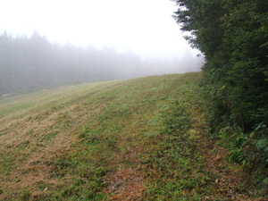 Appalachian Trail Fog