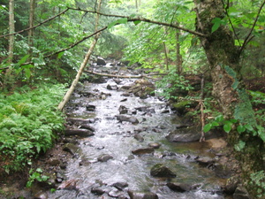 Appalachian Trail From bridge