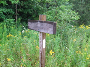Appalachian Trail Appalachian and Long Trail, North & South