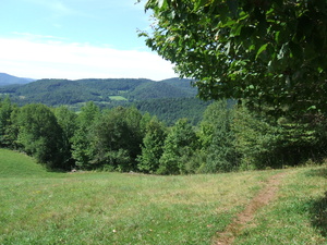 Appalachian Trail Field