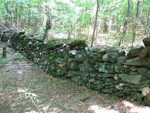 Appalachian Trail Stone wall