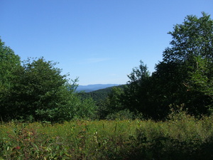 Appalachian Trail Meadow