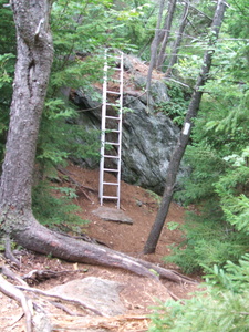 Appalachian Trail Aluminium Extension Ladder