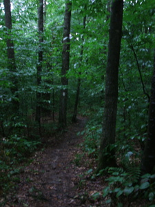 Appalachian Trail 