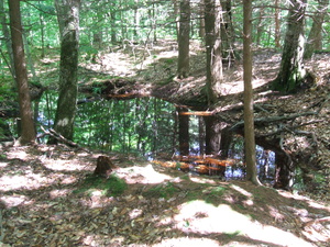 Appalachian Trail Pond