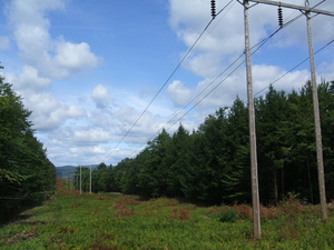 Appalachian Trail Powerline (43.706799, -72.329546)