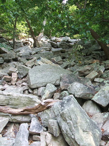 Appalachian Trail Rocks