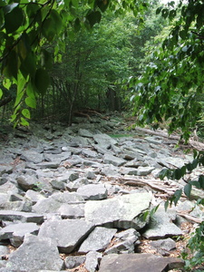 Appalachian Trail Rocks