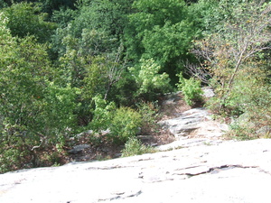 Appalachian Trail 